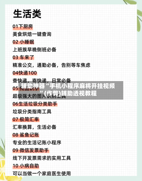 辅助神器“手机小程序麻将开挂视频”(作弊)辅助透视教程-第2张图片