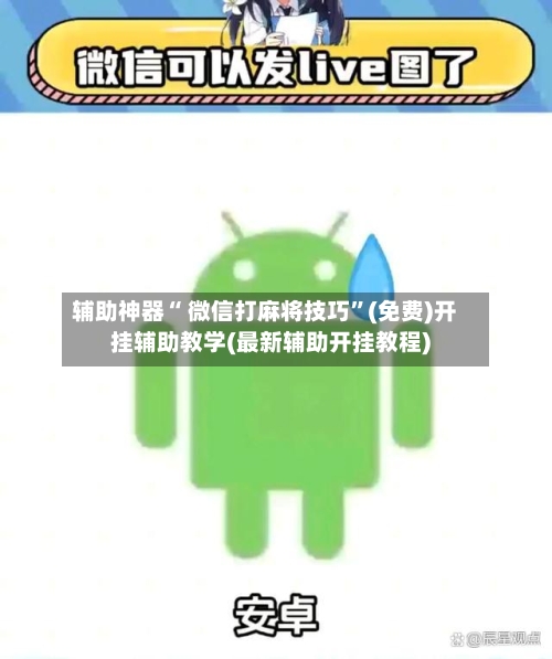 辅助神器“ 微信打麻将技巧”(免费)开挂辅助教学(最新辅助开挂教程)