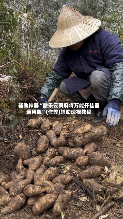 辅助神器“微乐云南麻将万能开挂器通用版”(作弊)辅助透视教程