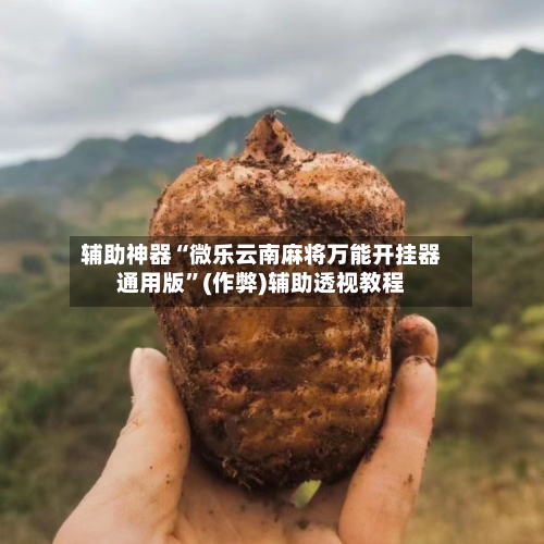 辅助神器“微乐云南麻将万能开挂器通用版”(作弊)辅助透视教程-第2张图片