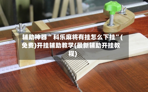 辅助神器“ 科乐麻将有挂怎么下挂”(免费)开挂辅助教学(最新辅助开挂教程)-第2张图片