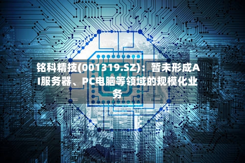 铭科精技(001319.SZ)：暂未形成AI服务器、PC电脑等领域的规模化业务