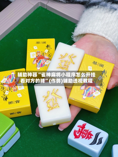 辅助神器“雀神麻将小程序怎么开挂看对方的牌	”(作弊)辅助透视教程-第2张图片