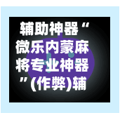 辅助神器“微乐内蒙麻将专业神器”(作弊)辅助透视教程-第3张图片