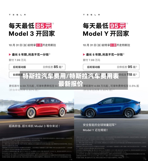特斯拉汽车费用/特斯拉汽车费用表最新报价-第2张图片