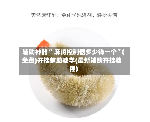 辅助神器“ 麻将控制器多少钱一个”(免费)开挂辅助教学(最新辅助开挂教程)-第2张图片
