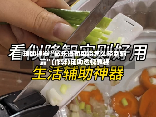 辅助神器“微乐海南麻将怎么控制输赢	”(作弊)辅助透视教程-第2张图片