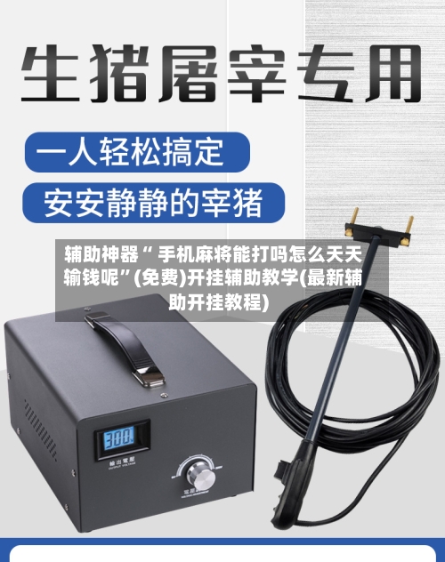 辅助神器“ 手机麻将能打吗怎么天天输钱呢”(免费)开挂辅助教学(最新辅助开挂教程)-第3张图片