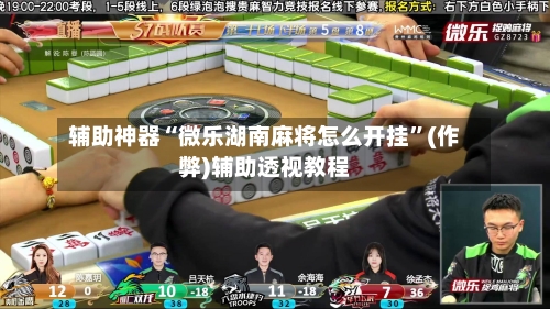 辅助神器“微乐湖南麻将怎么开挂”(作弊)辅助透视教程-第2张图片