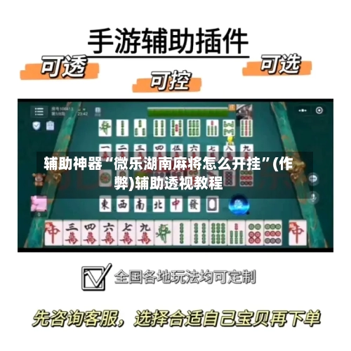 辅助神器“微乐湖南麻将怎么开挂”(作弊)辅助透视教程