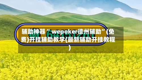 辅助神器“ wepoker德州辅助”(免费)开挂辅助教学(最新辅助开挂教程)