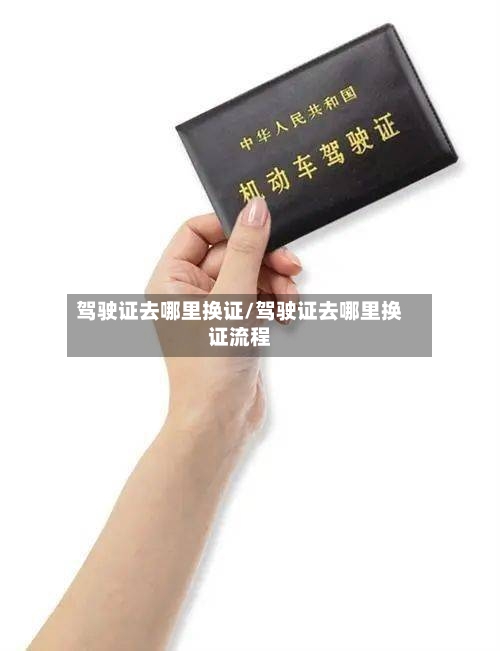 驾驶证去哪里换证/驾驶证去哪里换证流程-第2张图片