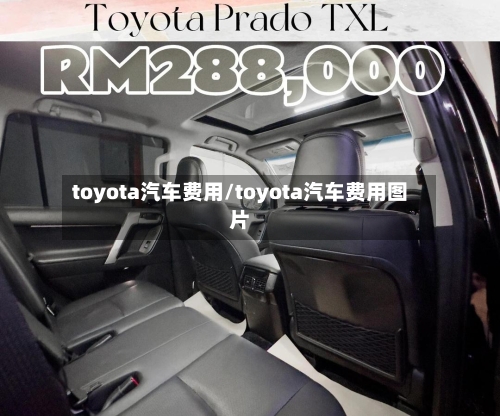 toyota汽车费用/toyota汽车费用图片-第2张图片