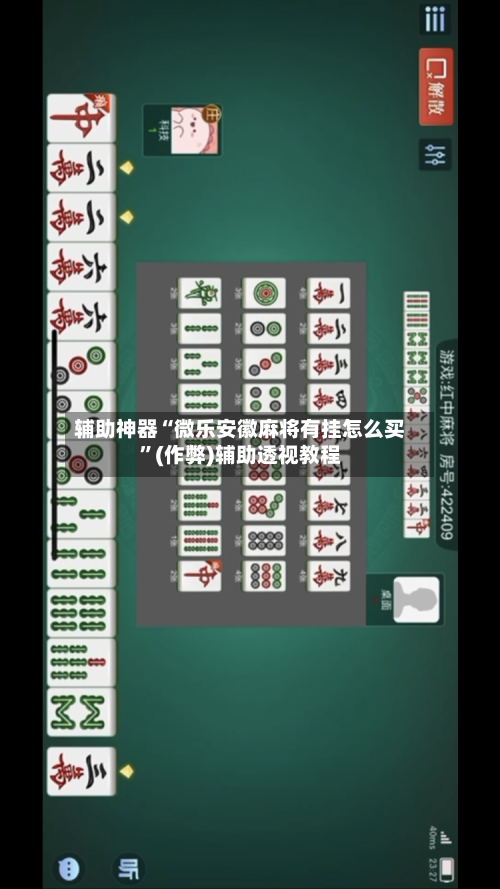 辅助神器“微乐安徽麻将有挂怎么买”(作弊)辅助透视教程
