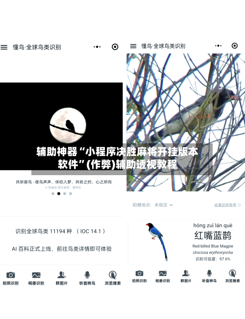 辅助神器“小程序决胜麻将开挂版本软件”(作弊)辅助透视教程-第2张图片