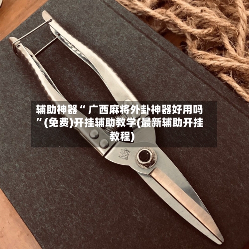 辅助神器“ 广西麻将外卦神器好用吗”(免费)开挂辅助教学(最新辅助开挂教程)-第2张图片