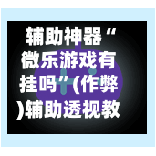 辅助神器“微乐游戏有挂吗”(作弊)辅助透视教程-第2张图片