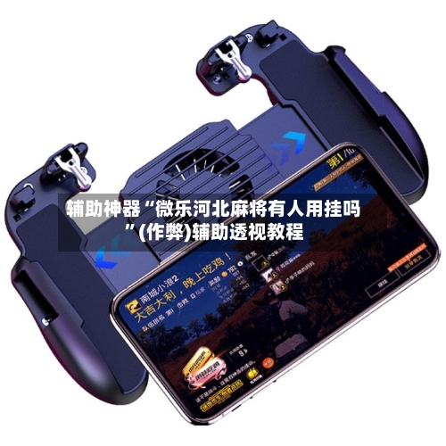 辅助神器“微乐河北麻将有人用挂吗”(作弊)辅助透视教程-第3张图片