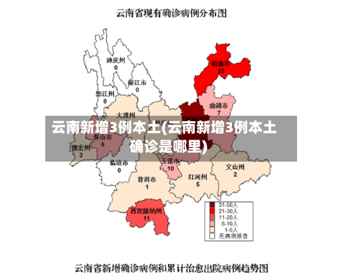 云南新增3例本土(云南新增3例本土确诊是哪里)
