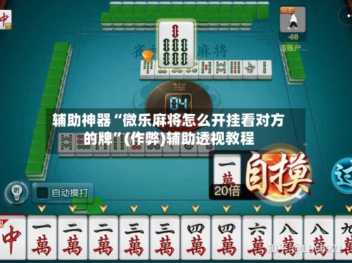 辅助神器“微乐麻将怎么开挂看对方的牌”(作弊)辅助透视教程-第2张图片
