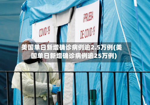 美国单日新增确诊病例逾2.5万例(美国单日新增确诊病例逾25万例)-第2张图片
