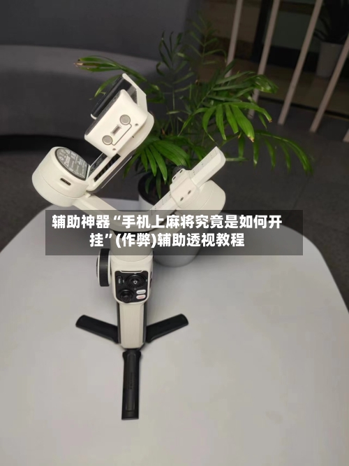 辅助神器“手机上麻将究竟是如何开挂”(作弊)辅助透视教程-第2张图片