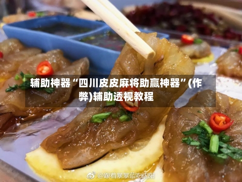 辅助神器“四川皮皮麻将助赢神器”(作弊)辅助透视教程-第2张图片