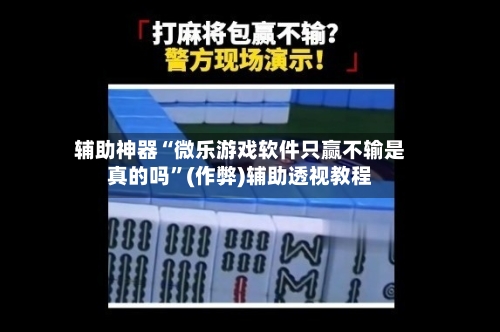 辅助神器“微乐游戏软件只赢不输是真的吗”(作弊)辅助透视教程-第2张图片