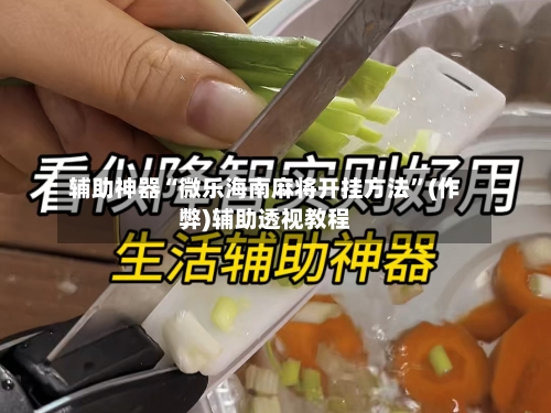 辅助神器“微乐海南麻将开挂方法”(作弊)辅助透视教程