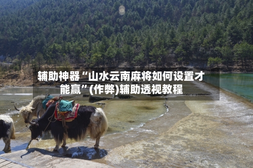 辅助神器“山水云南麻将如何设置才能赢”(作弊)辅助透视教程-第2张图片