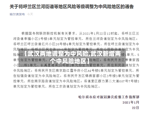 【武汉两地调整为中风险,武汉新增两个中风险地区】