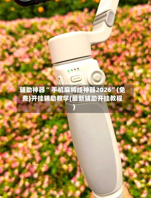 辅助神器“ 手机麻将挂神器2026”(免费)开挂辅助教学(最新辅助开挂教程)-第3张图片