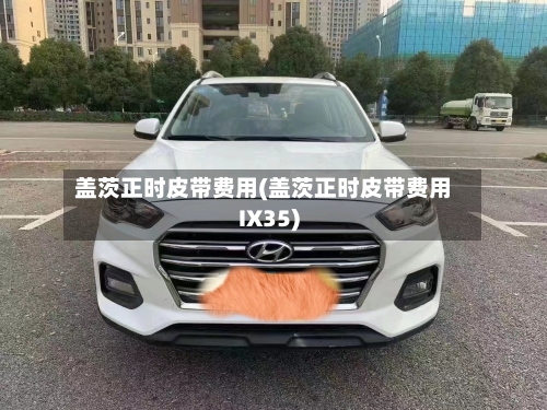 盖茨正时皮带费用(盖茨正时皮带费用IX35)