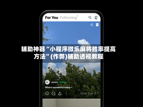 辅助神器“小程序微乐麻将胜率提高方法”(作弊)辅助透视教程-第2张图片