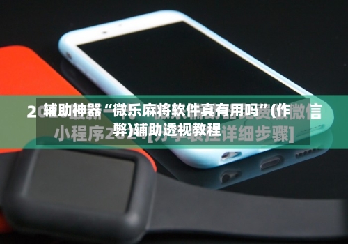 辅助神器“微乐麻将软件真有用吗”(作弊)辅助透视教程-第2张图片