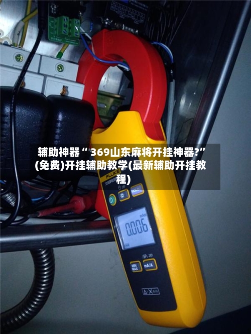 辅助神器“ 369山东麻将开挂神器?”(免费)开挂辅助教学(最新辅助开挂教程)-第2张图片