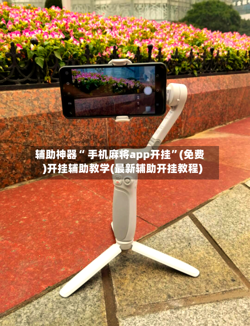 辅助神器“ 手机麻将app开挂”(免费)开挂辅助教学(最新辅助开挂教程)-第3张图片