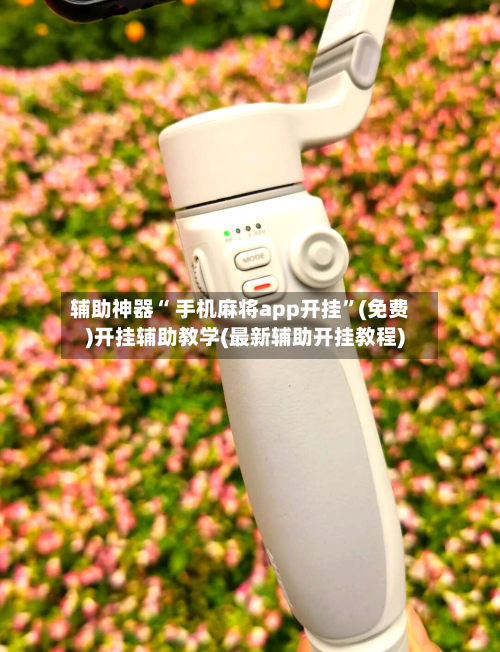 辅助神器“ 手机麻将app开挂”(免费)开挂辅助教学(最新辅助开挂教程)-第2张图片