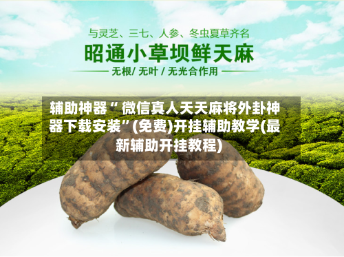 辅助神器“ 微信真人天天麻将外卦神器下载安装”(免费)开挂辅助教学(最新辅助开挂教程)
