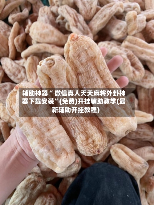 辅助神器“ 微信真人天天麻将外卦神器下载安装”(免费)开挂辅助教学(最新辅助开挂教程)-第2张图片