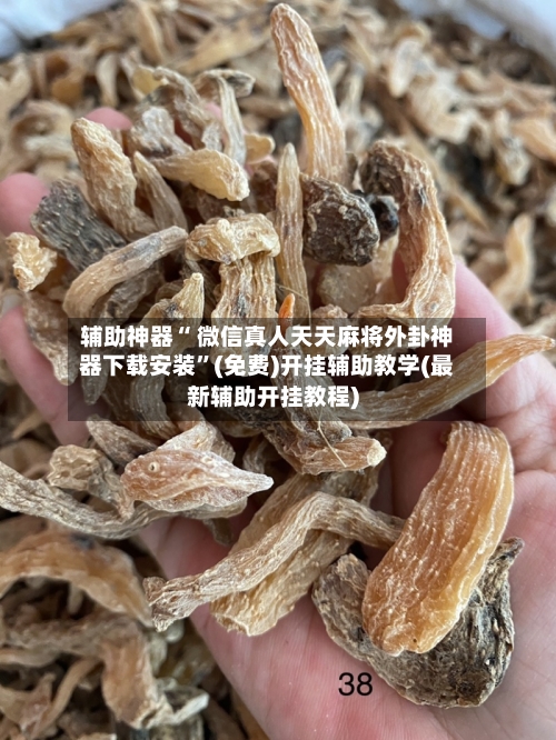 辅助神器“ 微信真人天天麻将外卦神器下载安装”(免费)开挂辅助教学(最新辅助开挂教程)-第3张图片