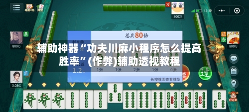 辅助神器“功夫川麻小程序怎么提高胜率”(作弊)辅助透视教程-第3张图片