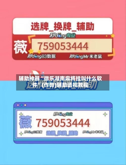 辅助神器“微乐湖南麻将挂叫什么软件	”(作弊)辅助透视教程-第2张图片