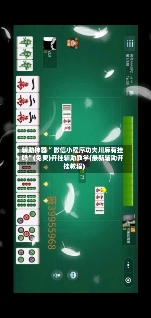 辅助神器“ 微信小程序功夫川麻有挂吗”(免费)开挂辅助教学(最新辅助开挂教程)