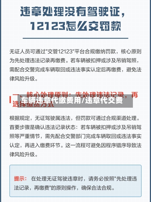 车辆违章代缴费用/违章代交费