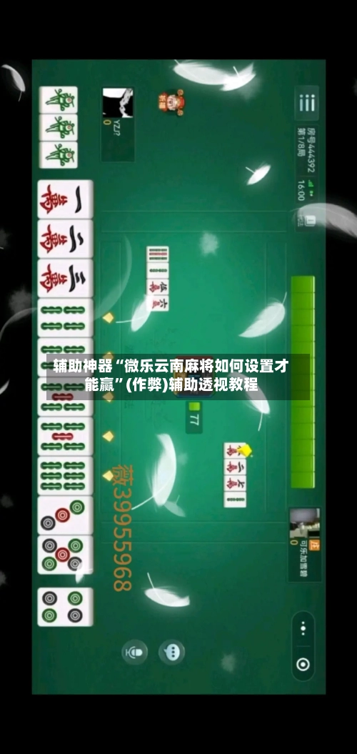 辅助神器“微乐云南麻将如何设置才能赢”(作弊)辅助透视教程