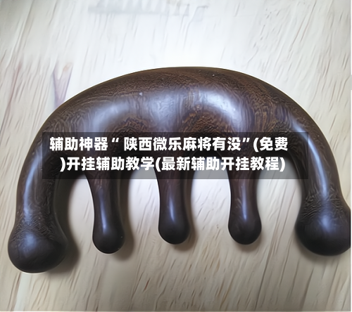 辅助神器“ 陕西微乐麻将有没”(免费)开挂辅助教学(最新辅助开挂教程)-第2张图片