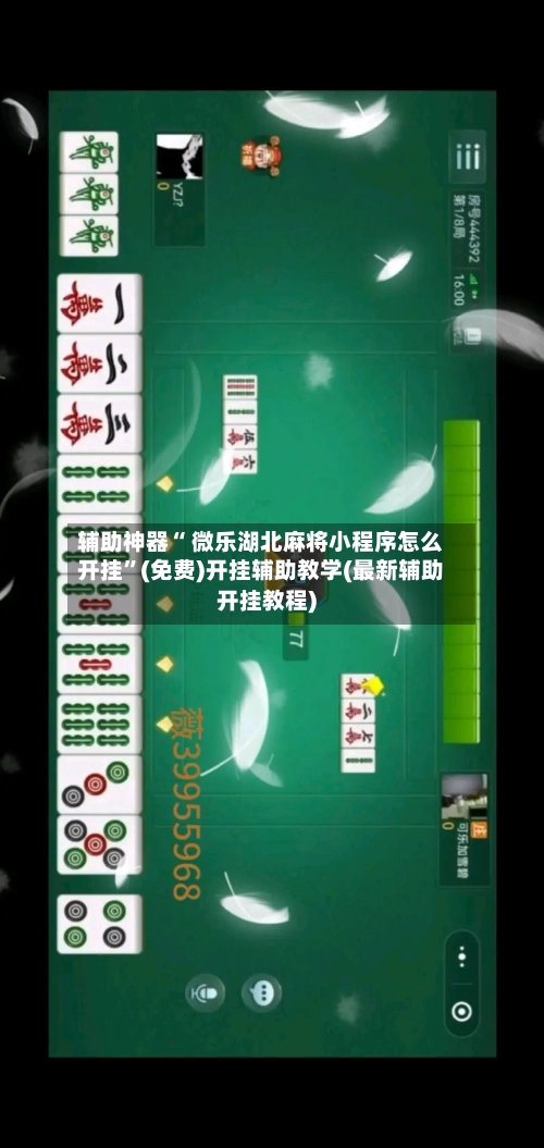 辅助神器“ 微乐湖北麻将小程序怎么开挂”(免费)开挂辅助教学(最新辅助开挂教程)-第2张图片