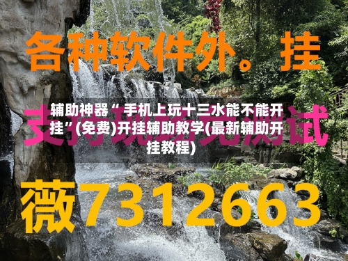 辅助神器“ 手机上玩十三水能不能开挂”(免费)开挂辅助教学(最新辅助开挂教程)-第3张图片