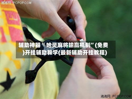 辅助神器“ 哈灵麻将输赢机制”(免费)开挂辅助教学(最新辅助开挂教程)